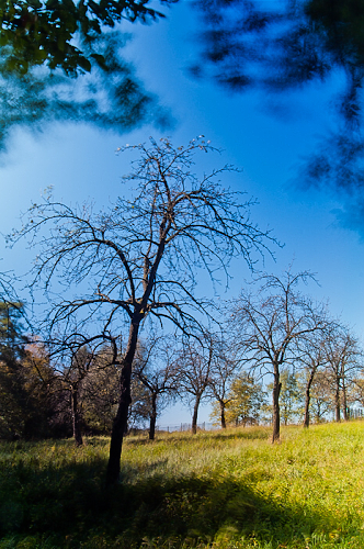 2012-10-06 - pod Rajculou - IMGP0323.jpg