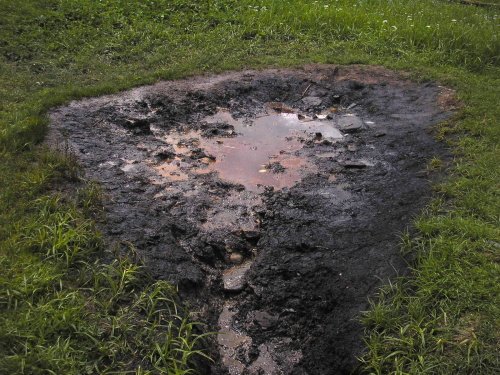 P5220145.JPG
