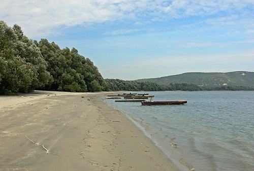 20060915_081ZM.jpg