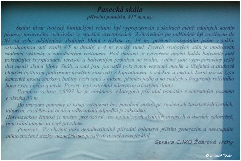 IMGP4403.jpg