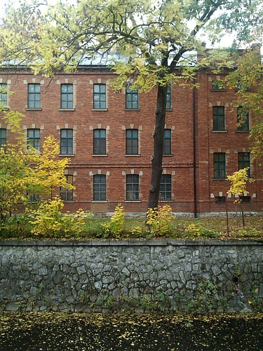 IMG_20131014_140950.jpg