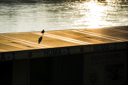 IMGP0117_resize.jpg