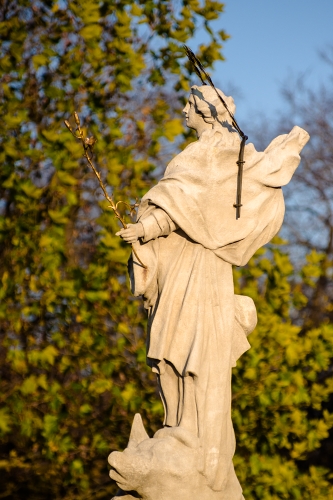 IMGP0126_resize.jpg