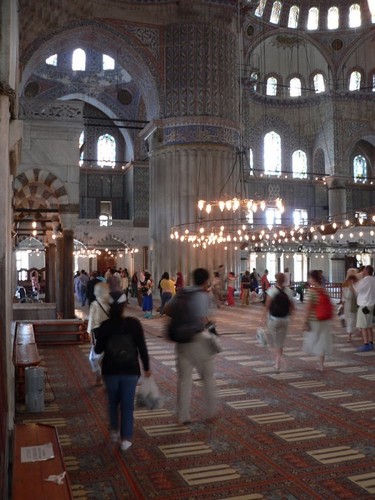 P1190113_zm.jpg