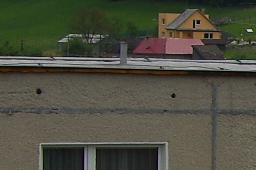 IMGP4492_vyrez.jpg