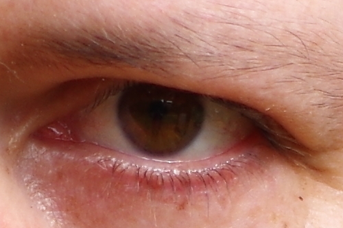 IMGP4877_DA50_vyrez.jpg