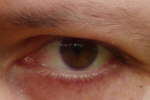 IMGP4862_DA55_vyrez.jpg