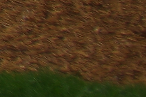 IMGP4945_DA15_F4_vyrez.jpg