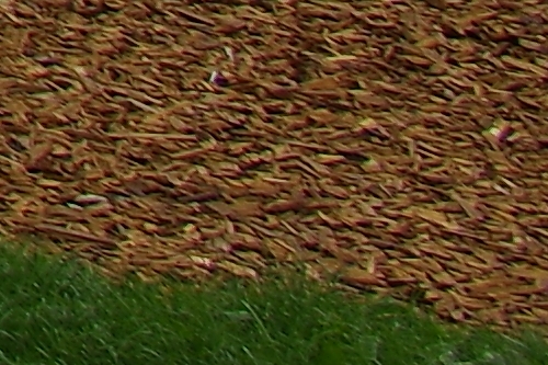 IMGP4947_DA15_F11_vyrez.jpg