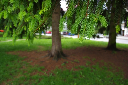 IMGP4961_HD15_resize.jpg