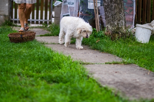 IMGP6118_resize.jpg