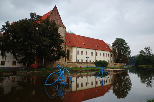 IMGP4103.JPG