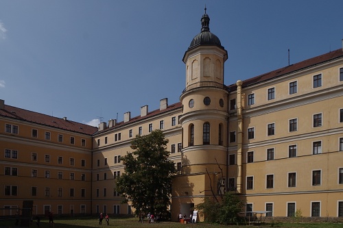 IMGP3481.jpg
