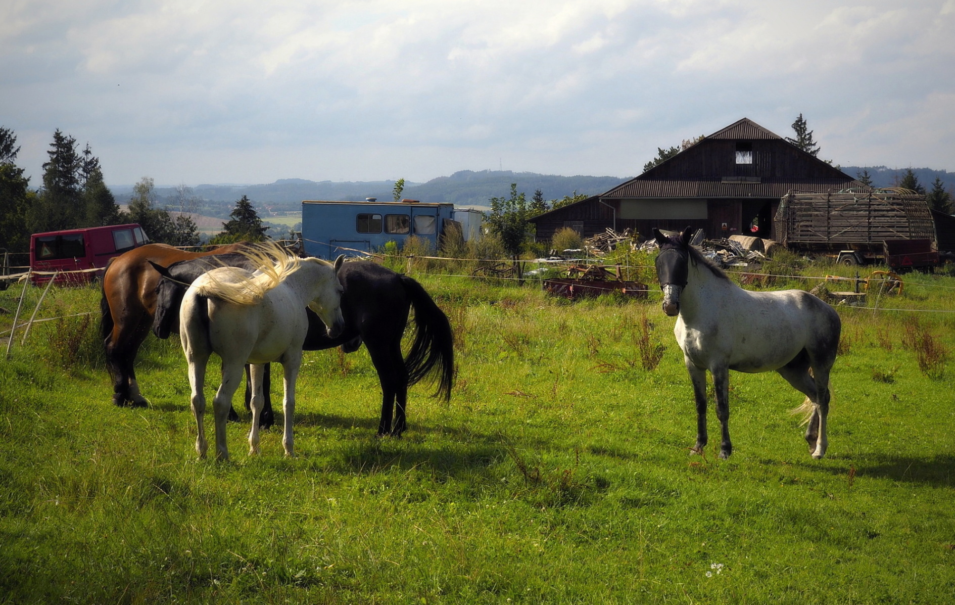 Obrázek