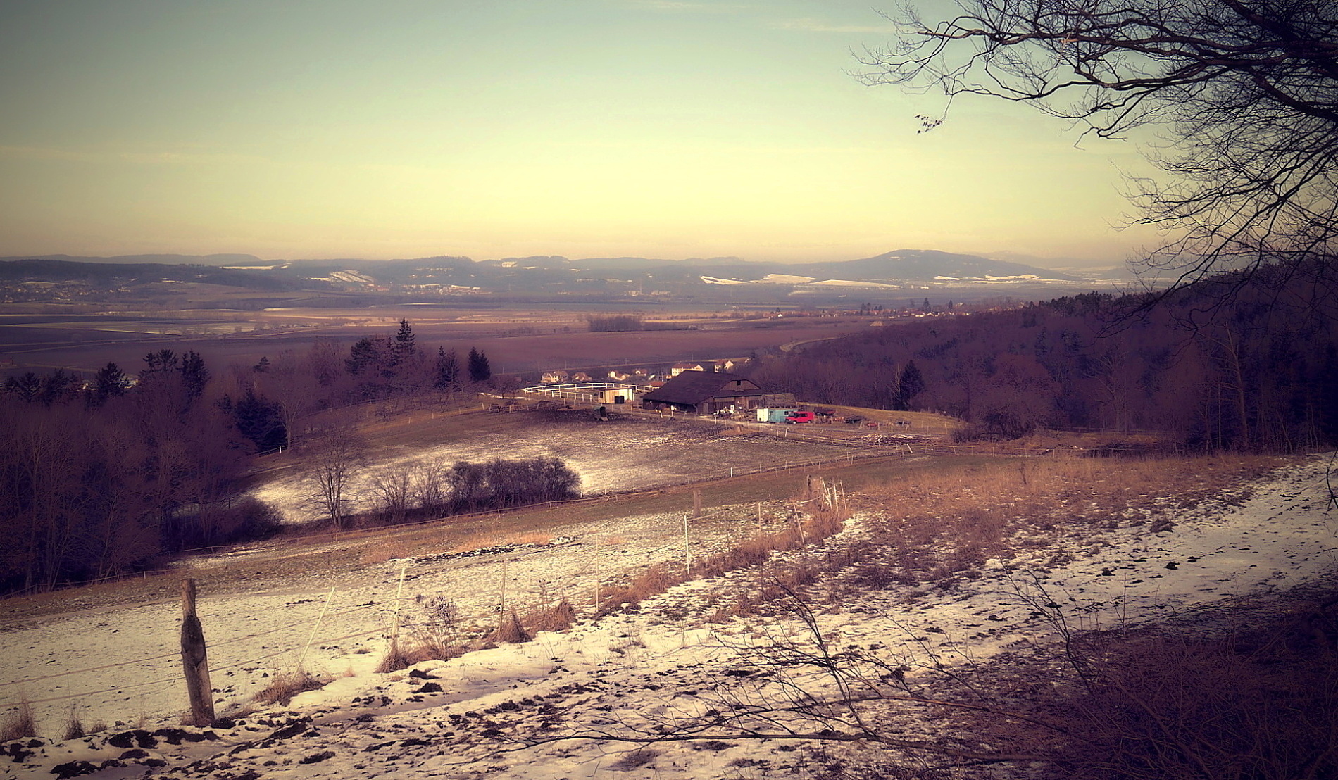 Obrázek