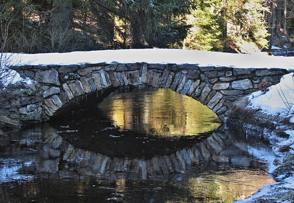 Obrázek