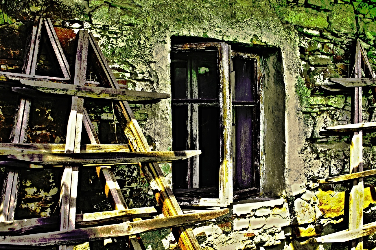 Obrázek