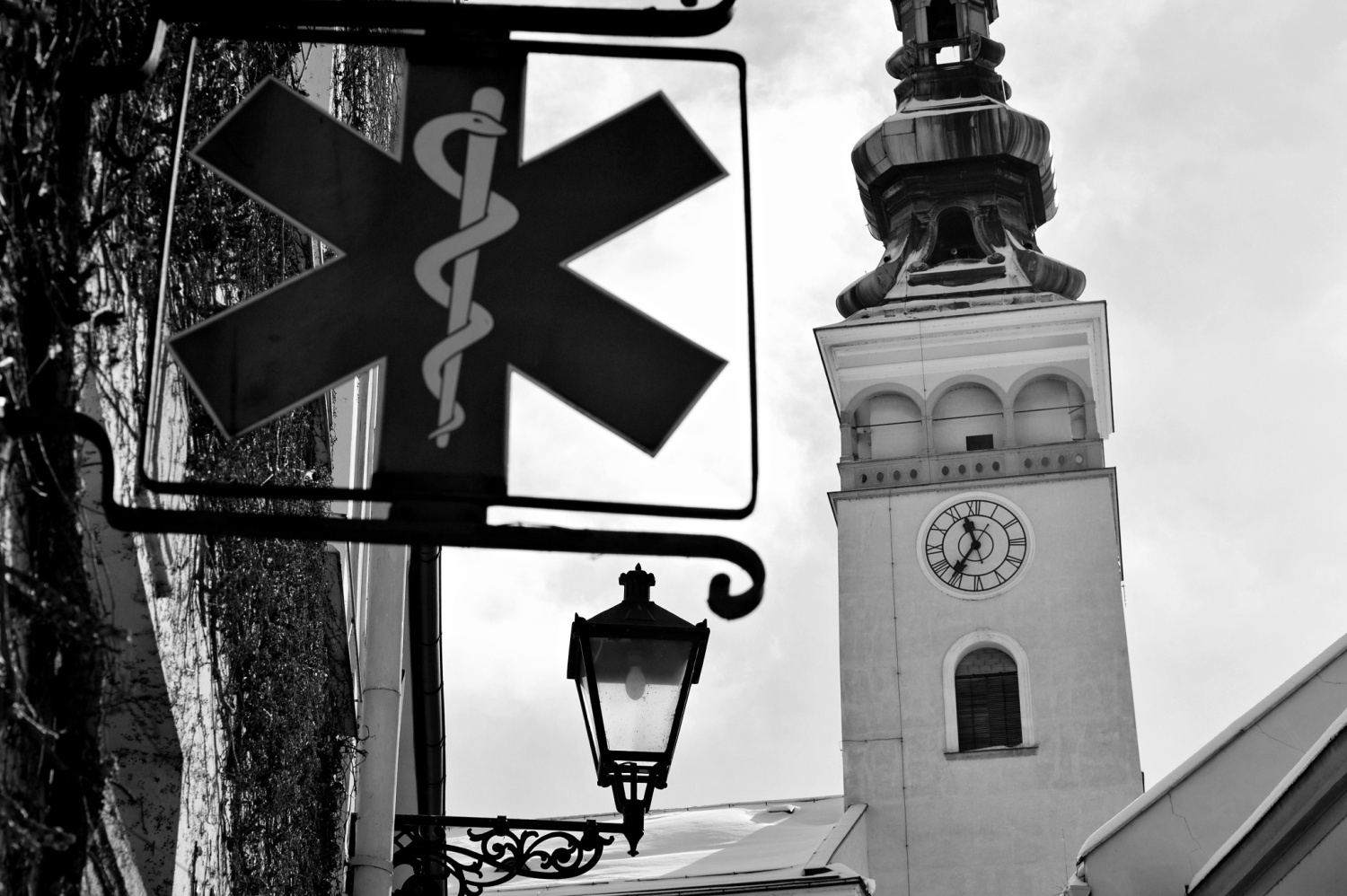 Obrázek
