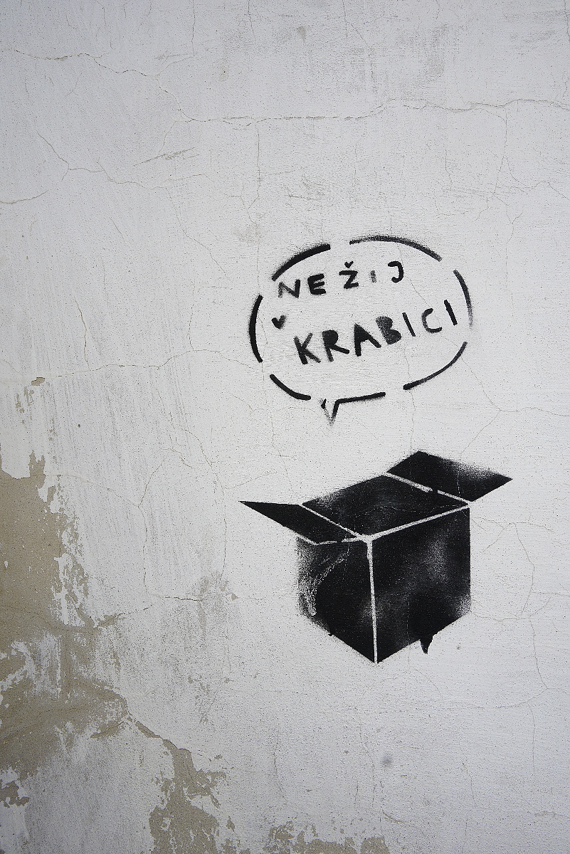 Obrázek