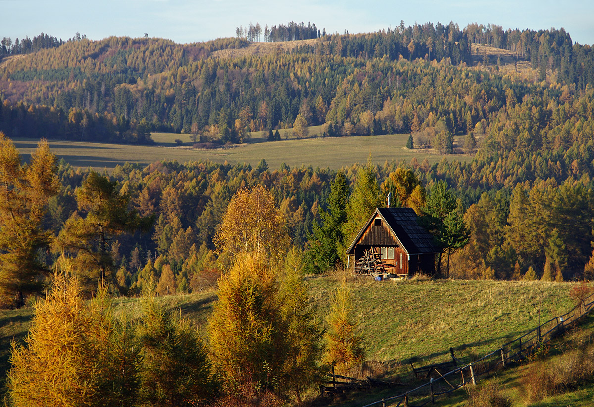 Obrázek