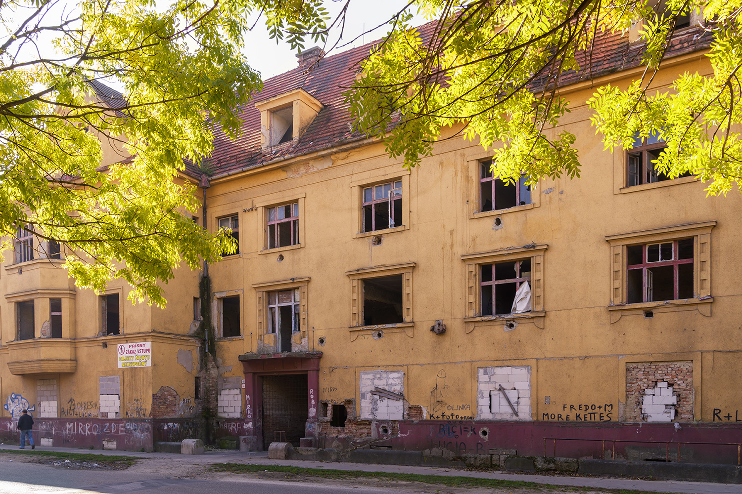 Obrázek