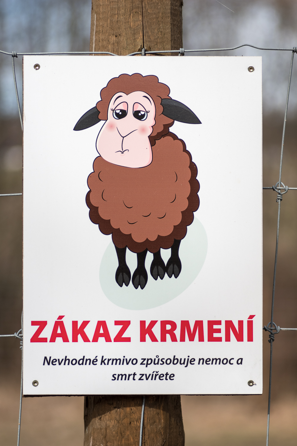 Obrázek