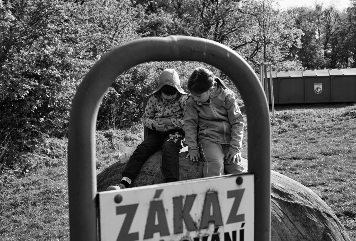 Obrázek
