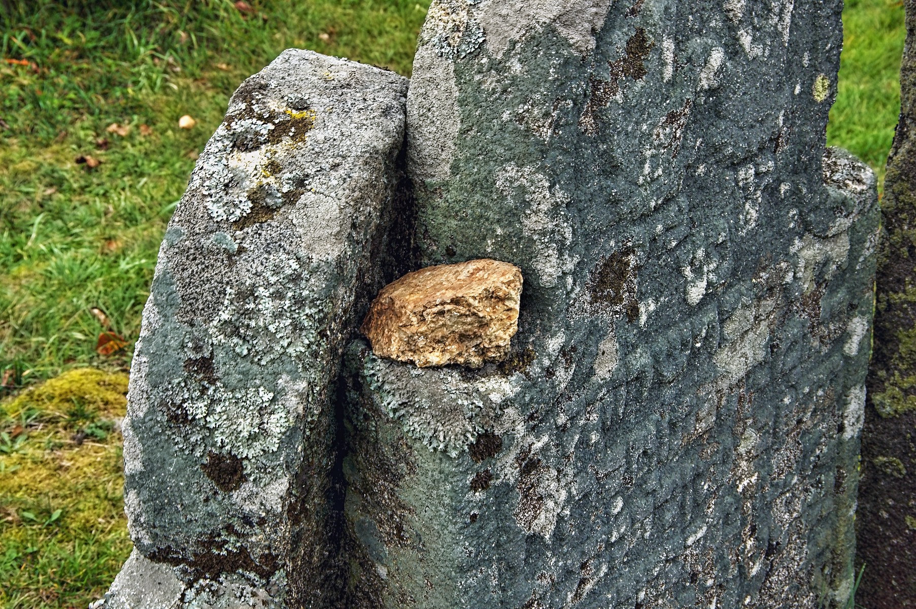 Obrázek