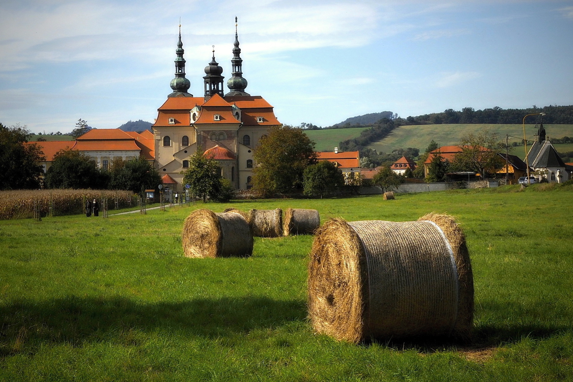 Obrázek