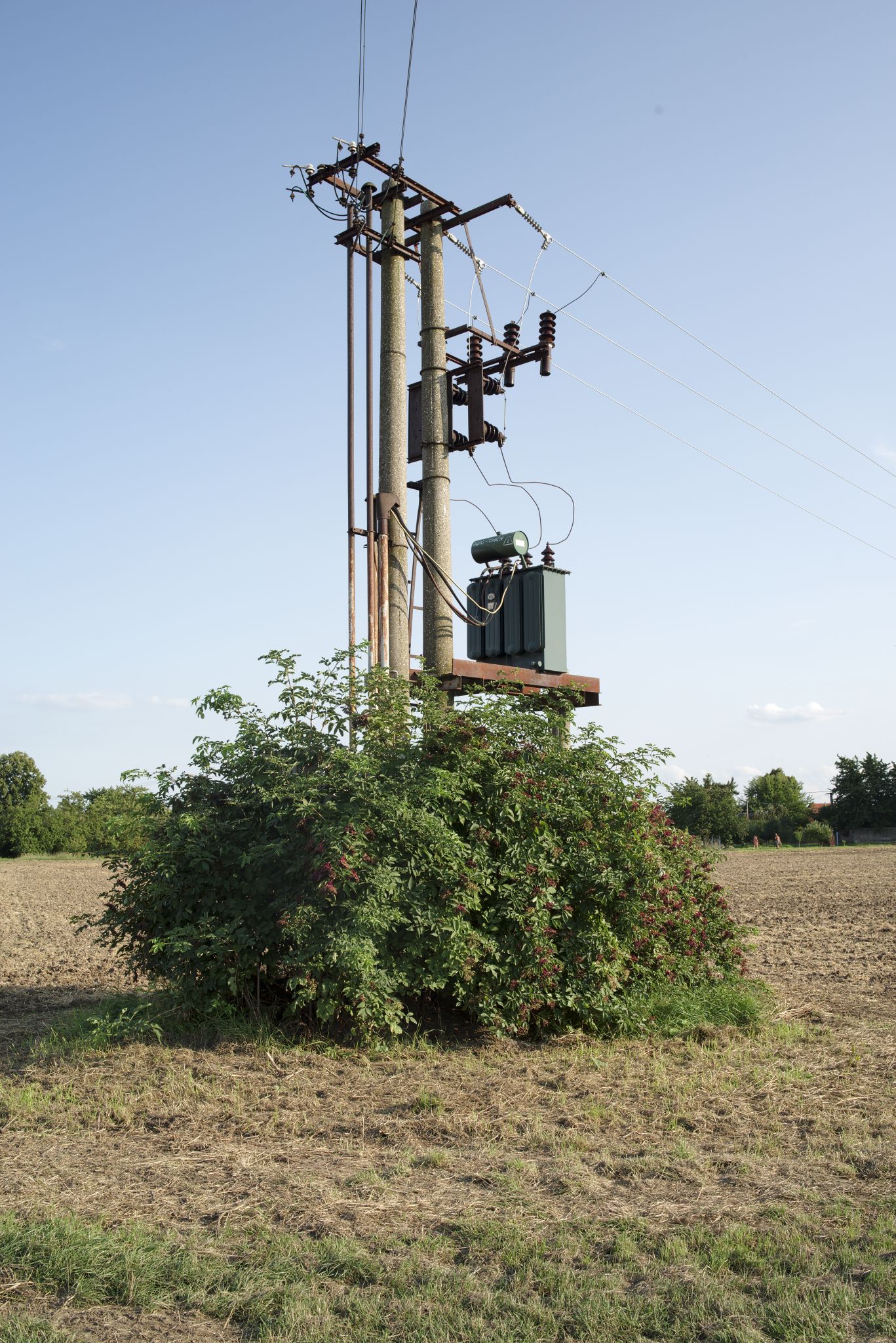 Obrázek