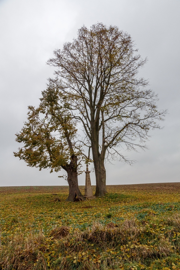 Obrázek