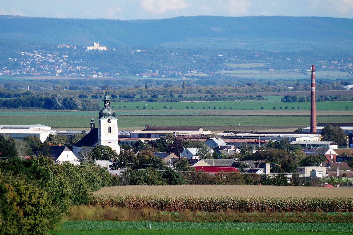 Obrázek