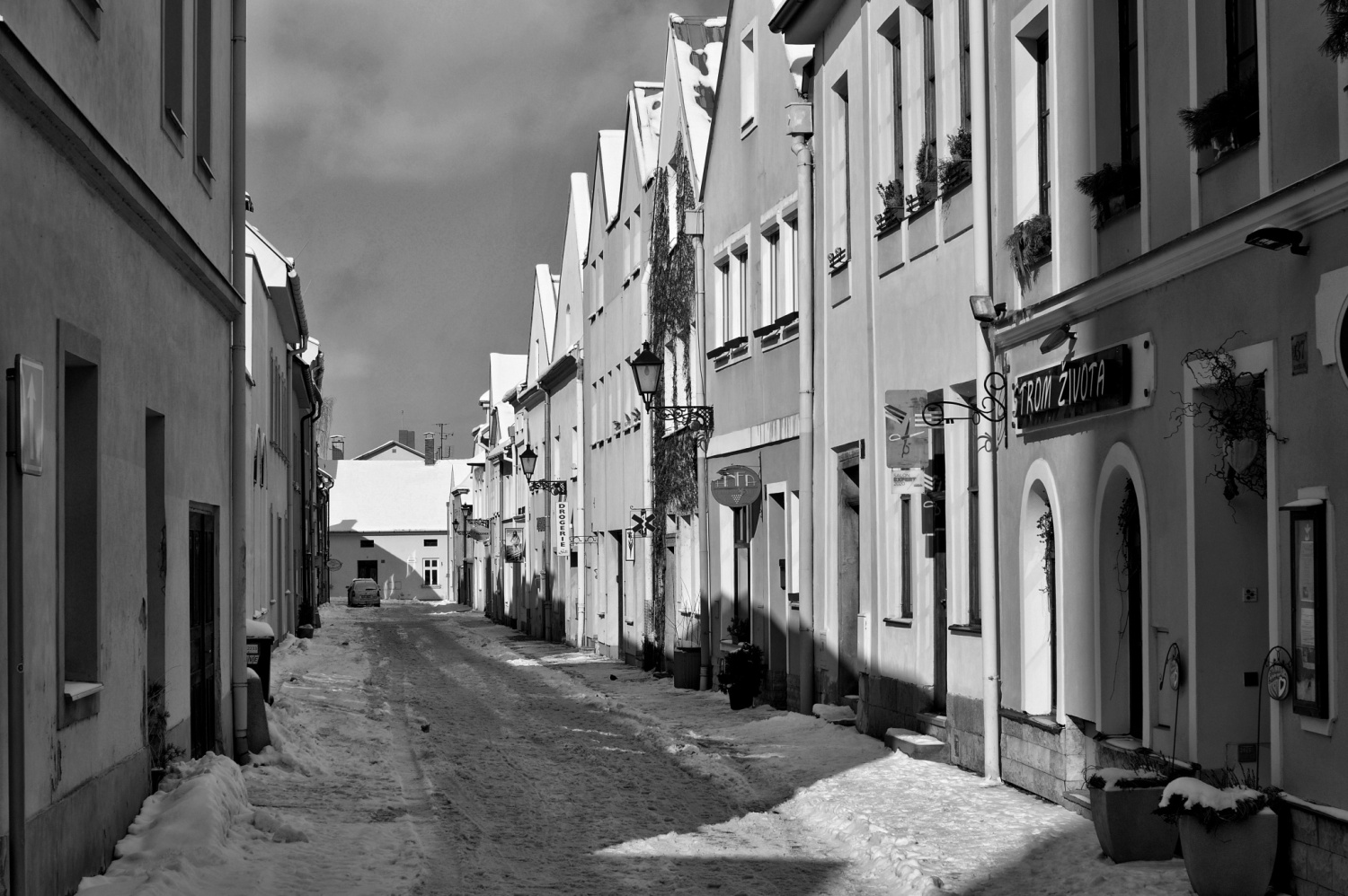 Obrázek
