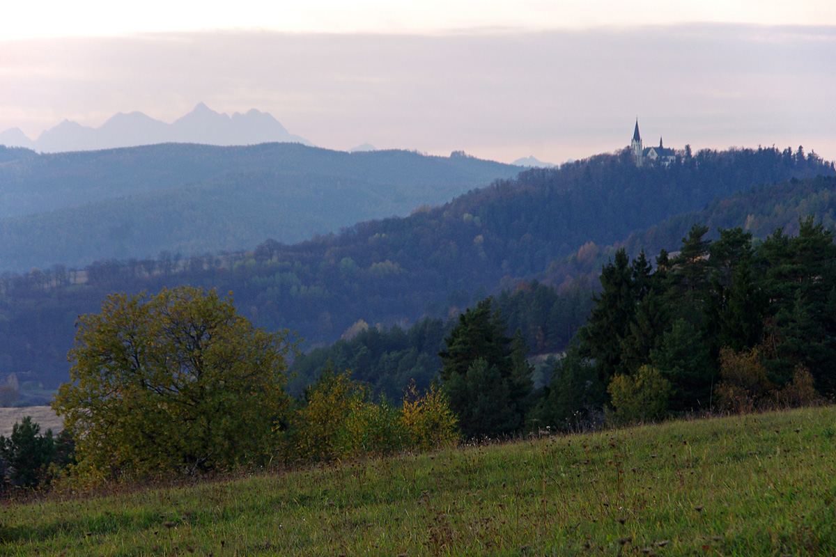 Obrázek