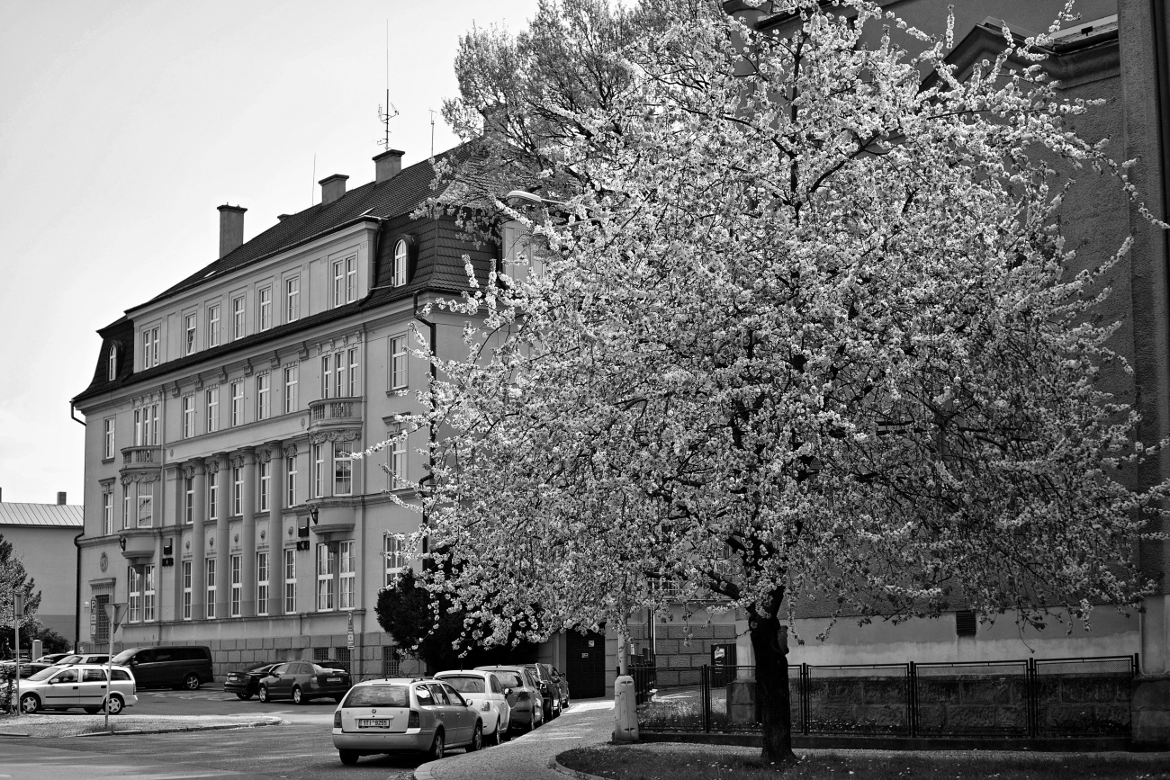 Obrázek