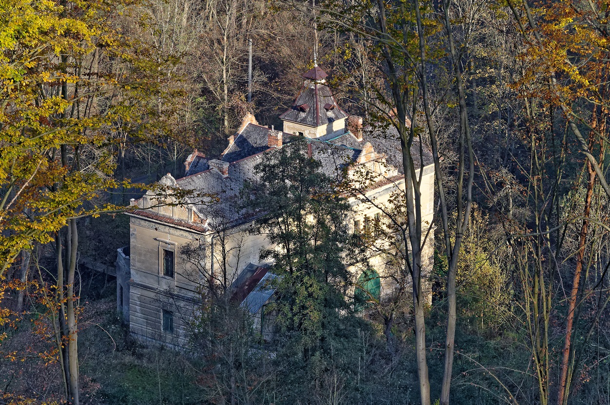 Obrázek