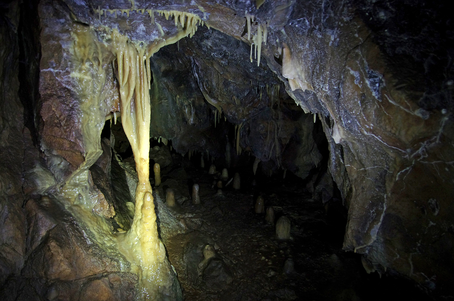 Obrázek