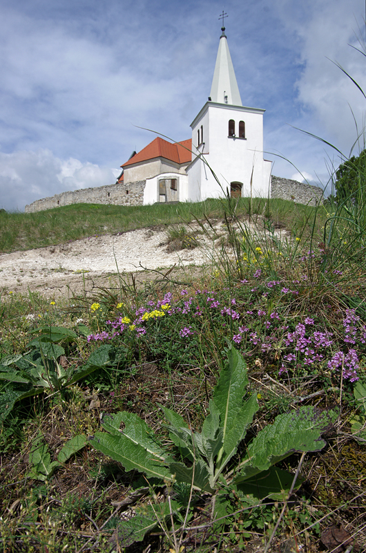 Obrázek