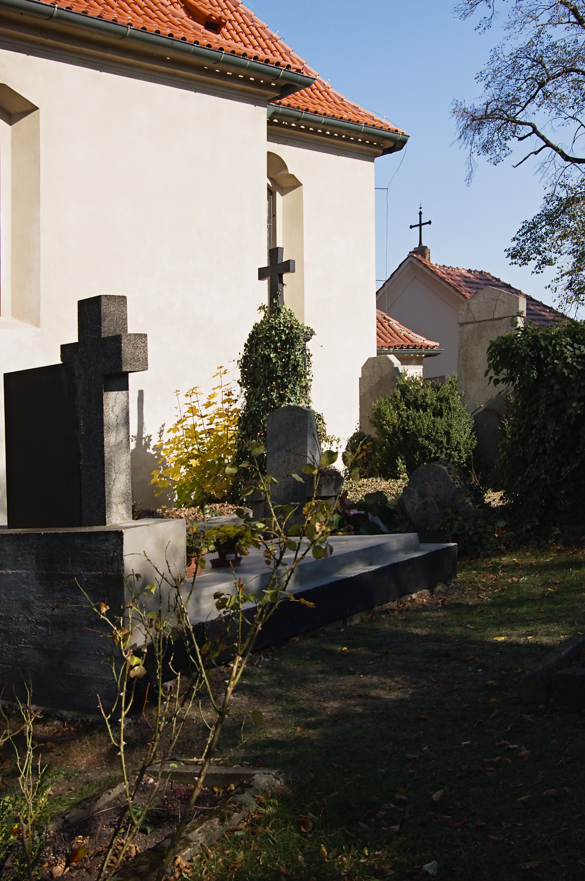 Obrázek