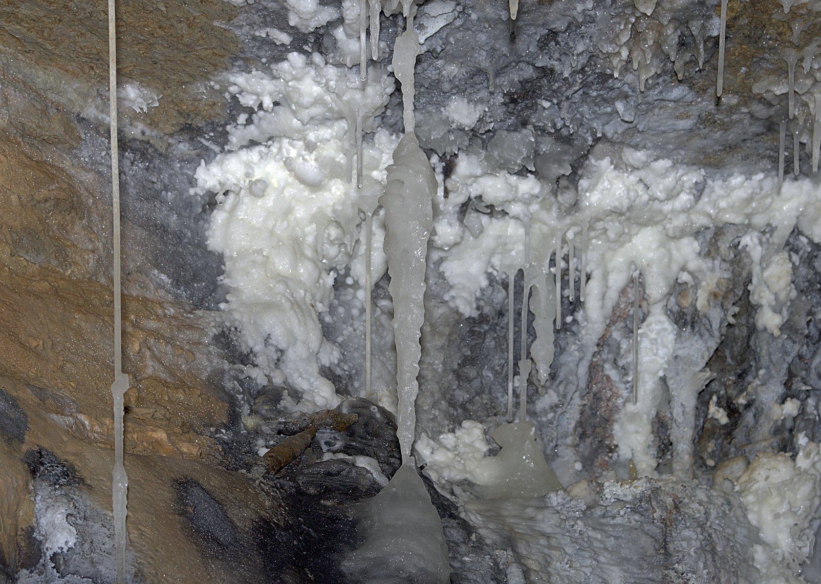 Obrázek