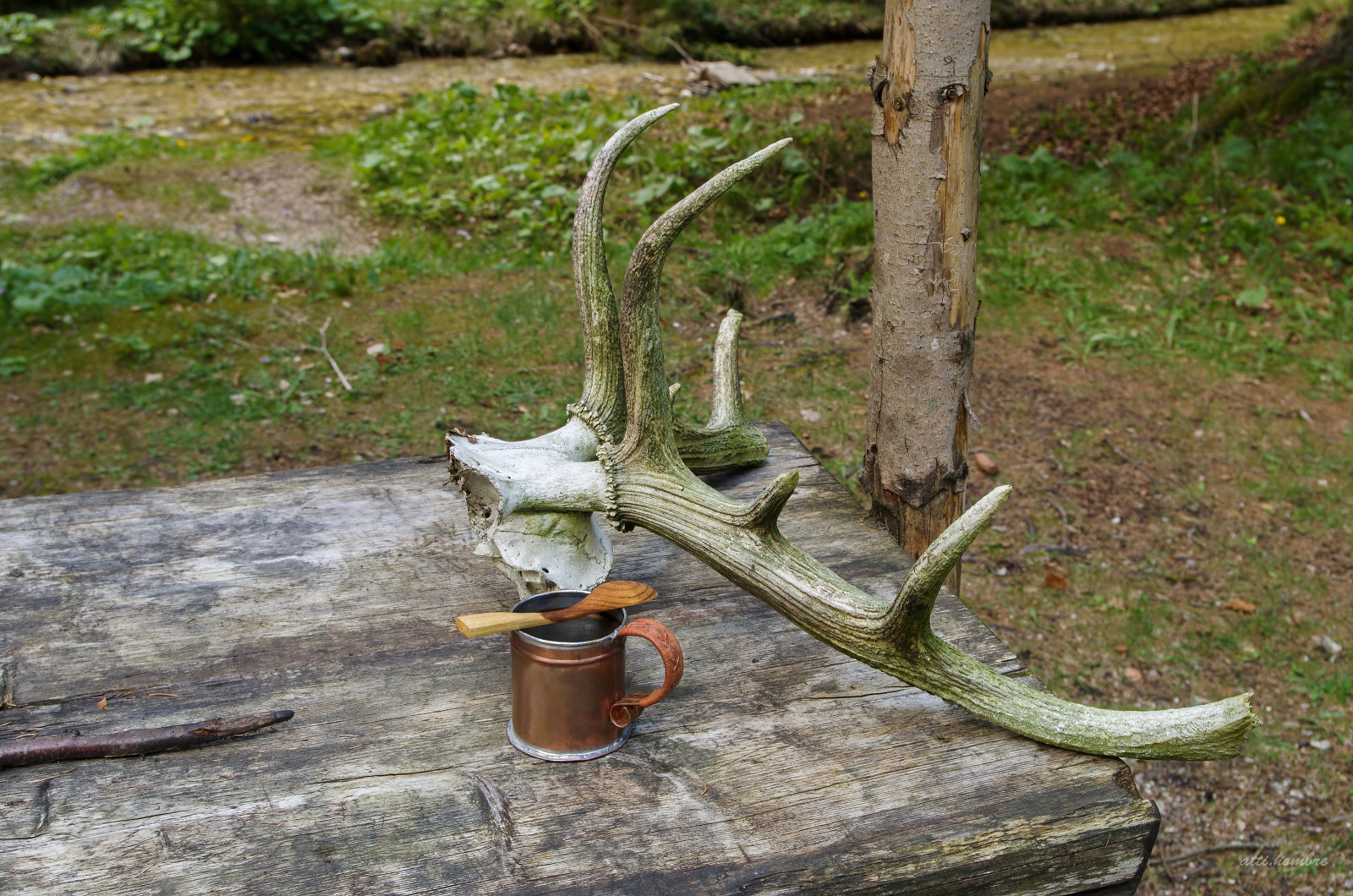 Obrázek