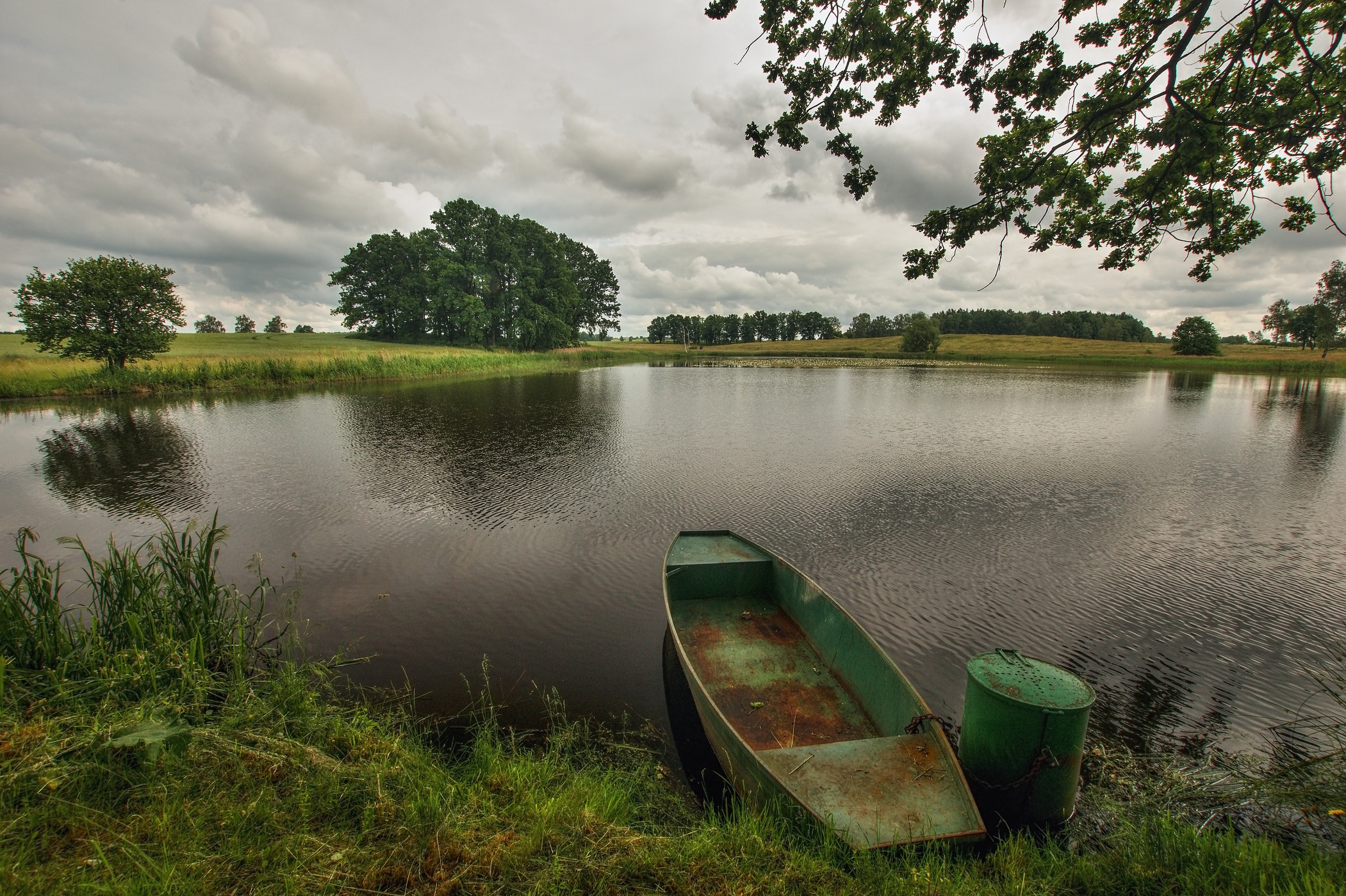 Obrázek