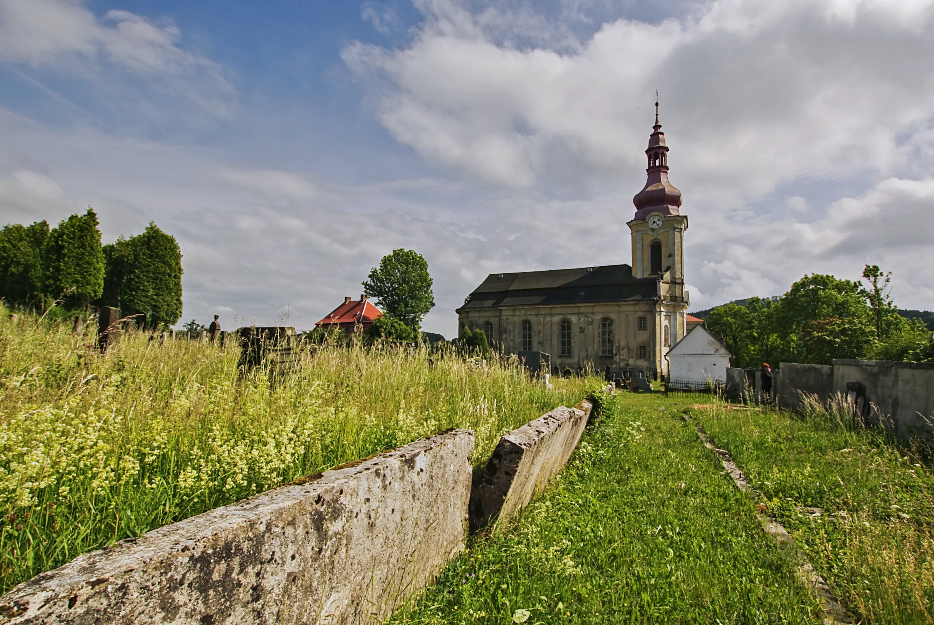 Obrázek