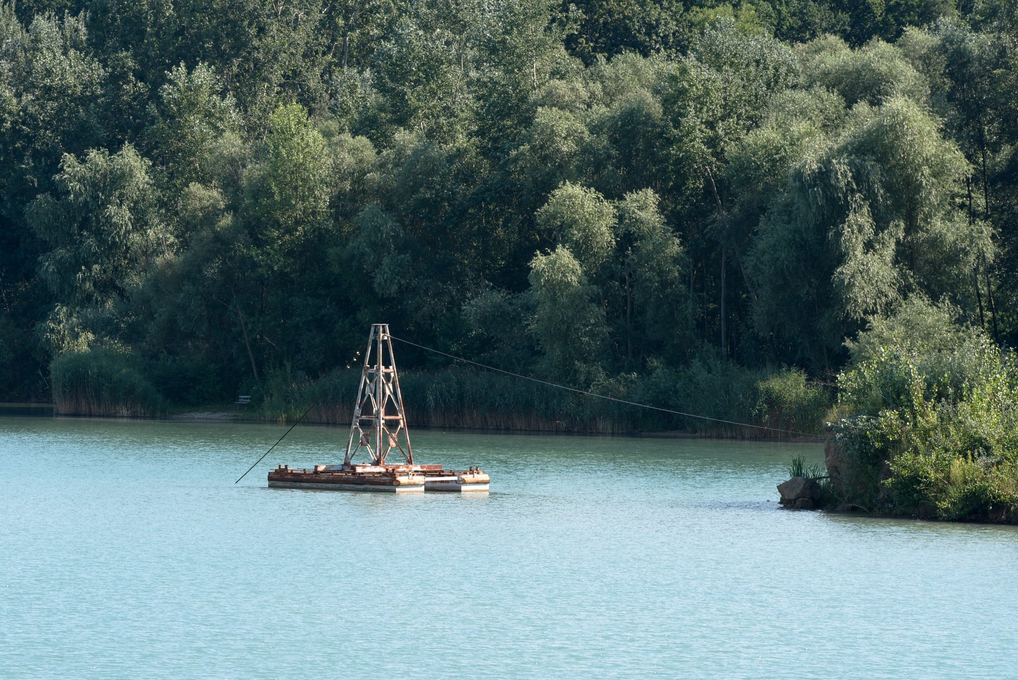 Obrázek