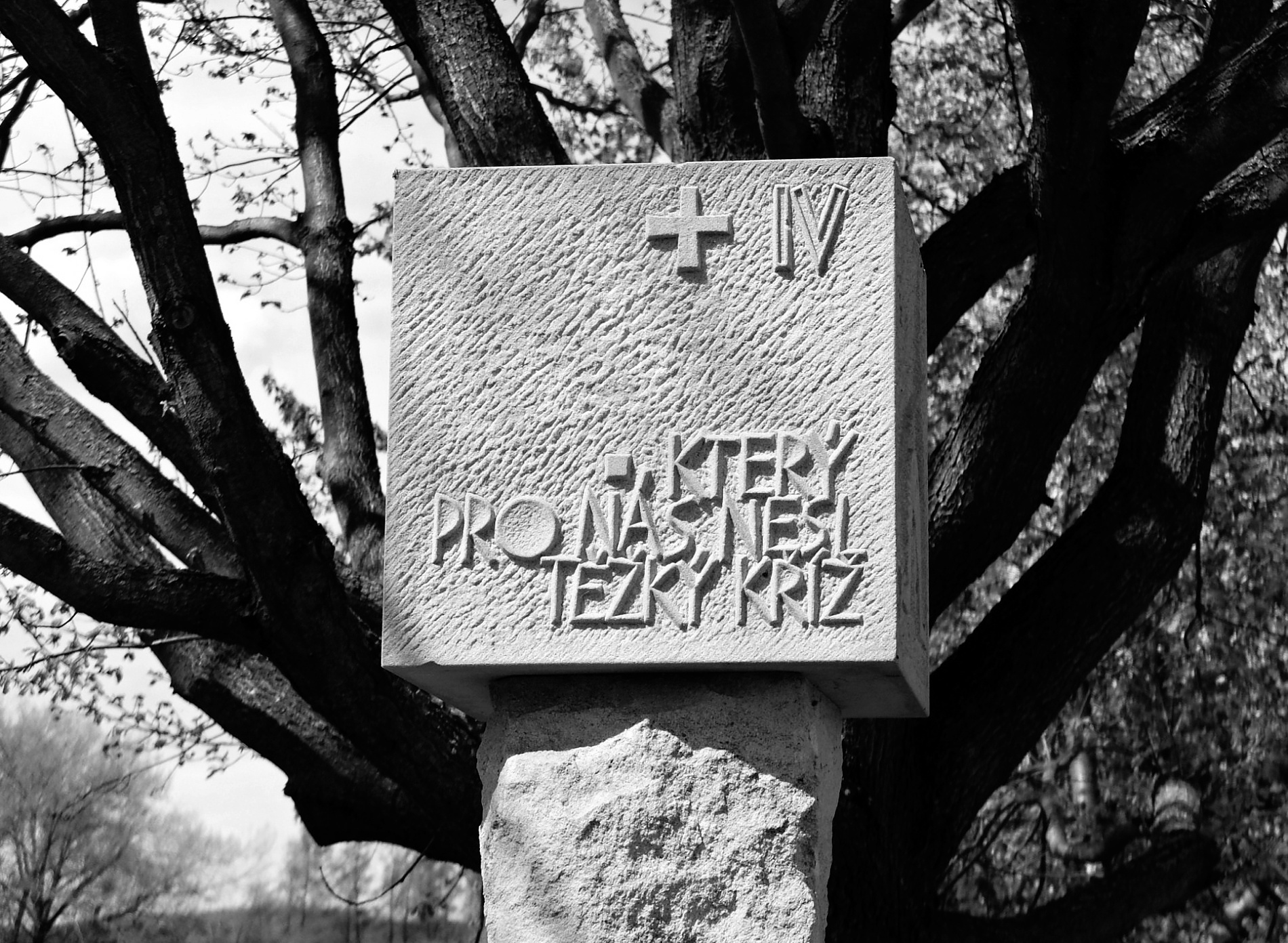 Obrázek