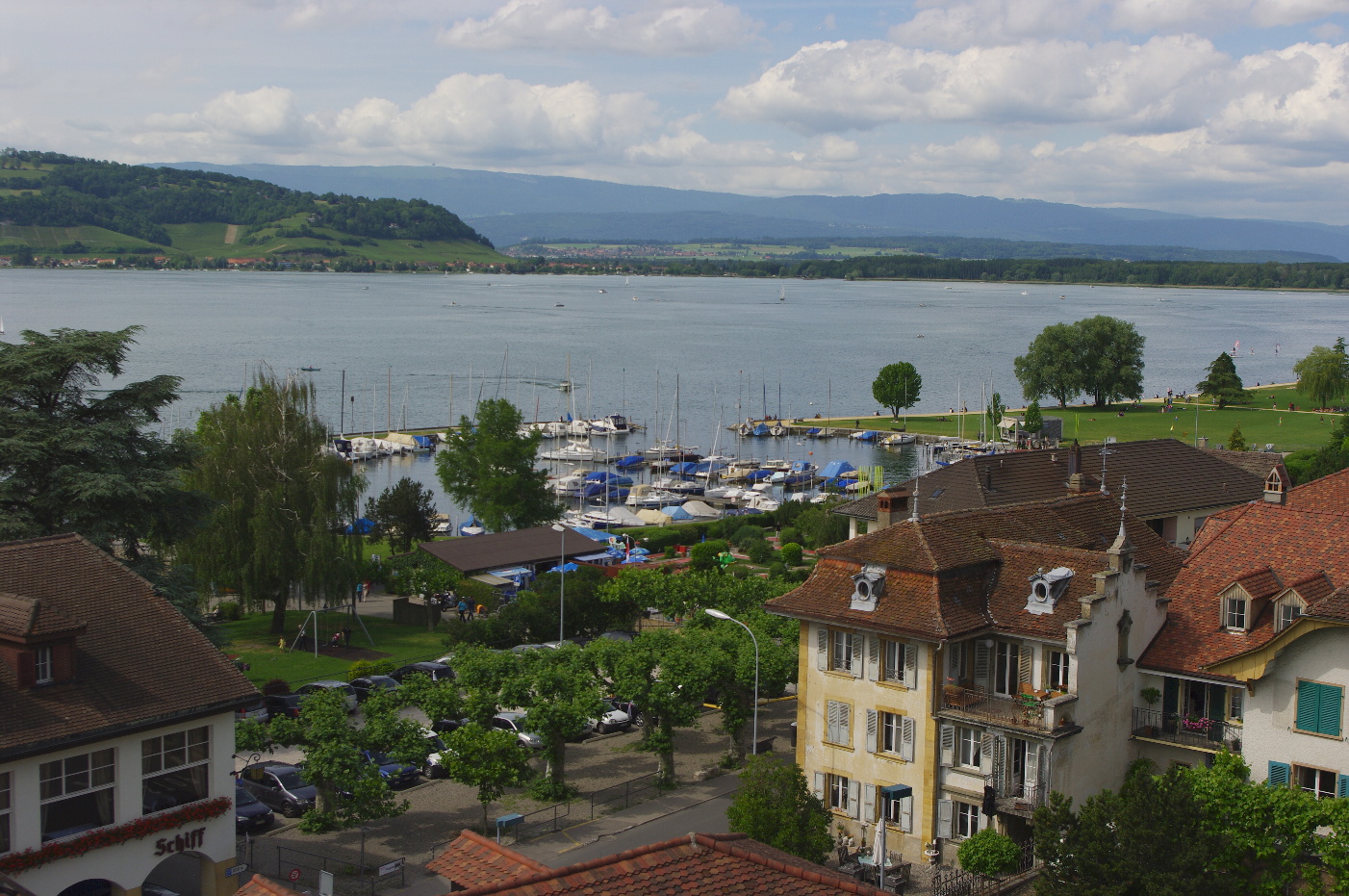 Obrázek