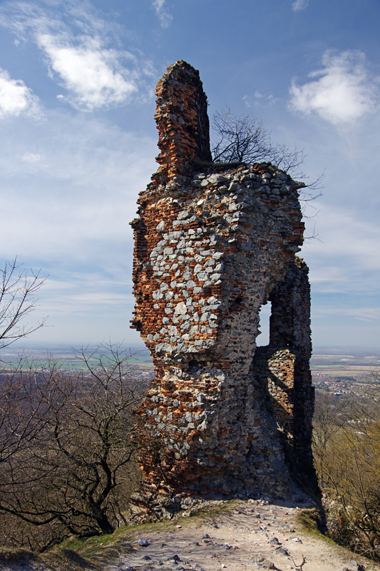 Obrázek