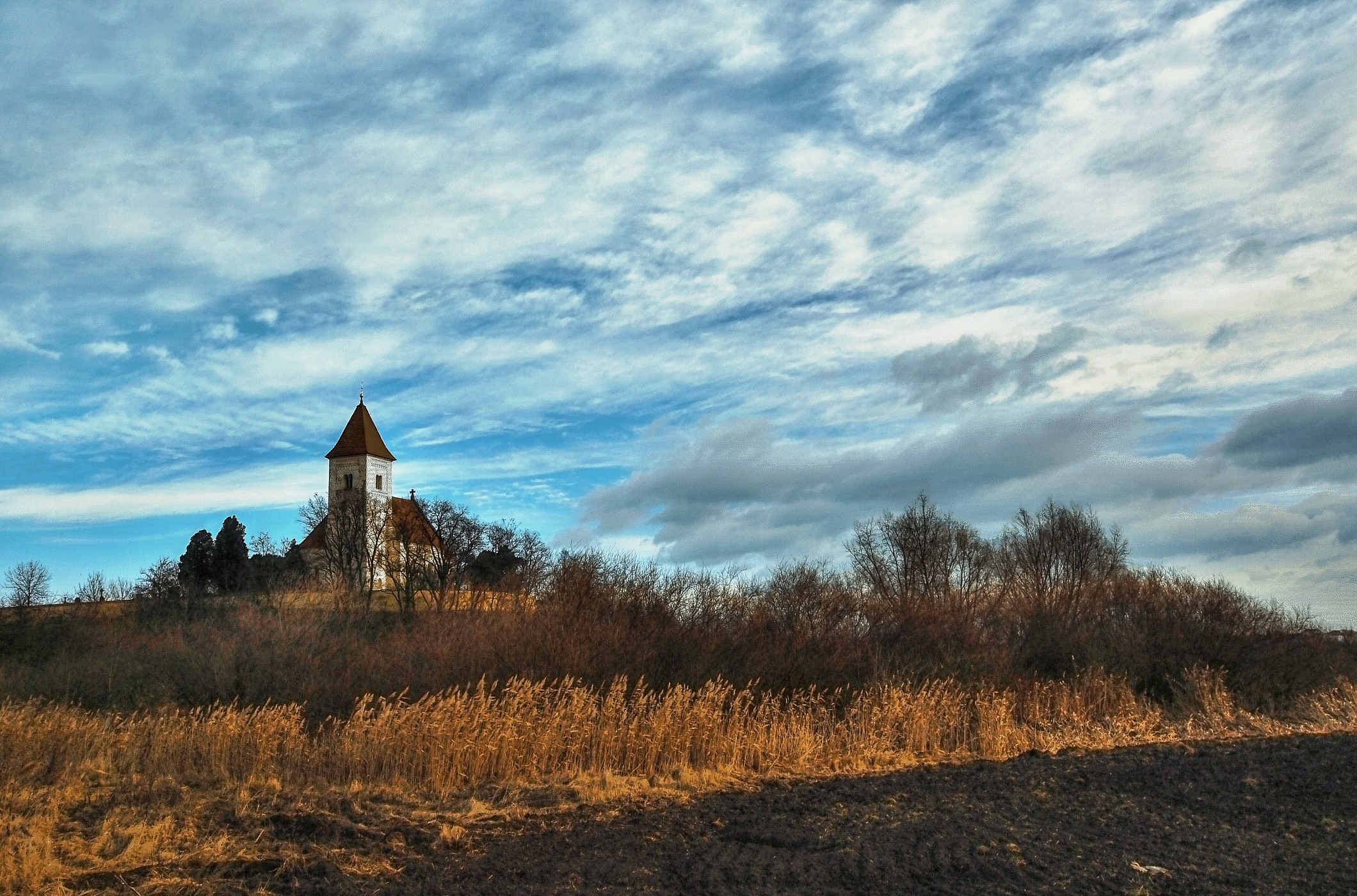 Obrázek