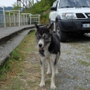 Název souboru=DSCF3011.jpg
Velikost souboru=546KB
Rozměry=1333x2000
Datum přidání=04. Říjen 2019 DSCF3011.jpg