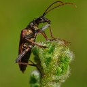 IMGP9072.JPG